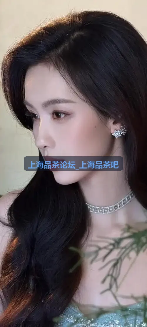 上海品茶论坛_上海品茶吧推荐浦东陆家嘴商务茶舍